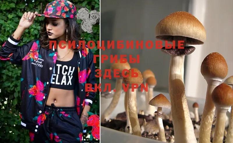 Галлюциногенные грибы Magic Shrooms  Дно 